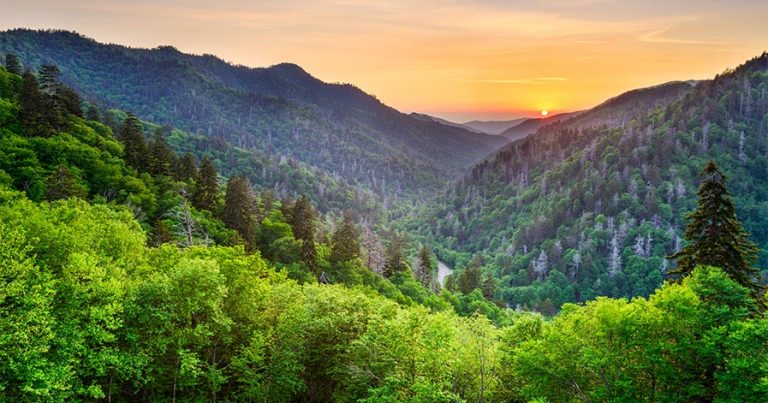 The Best Backpacking Trails