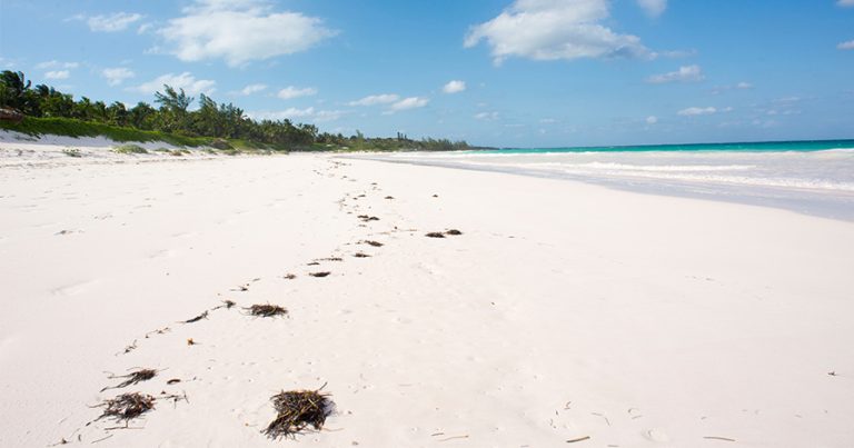 White sand beach