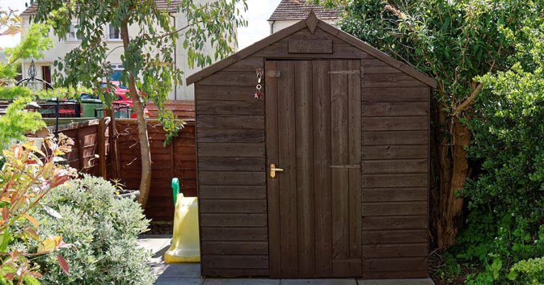 Shed in a backyard