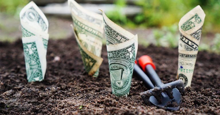 Bills planted in ground with spade