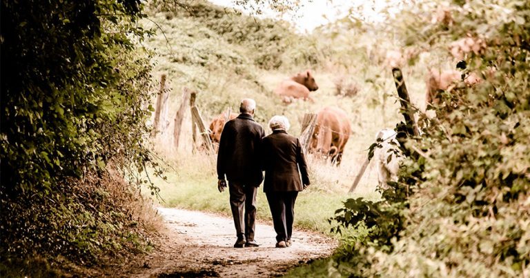 Old couple walking on path with cows in background