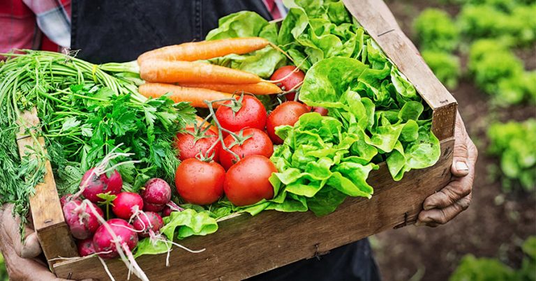 Box of freshly picked vegetables