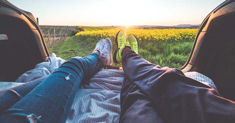A couple sitting in the back of a truck, looking at a field of flowers