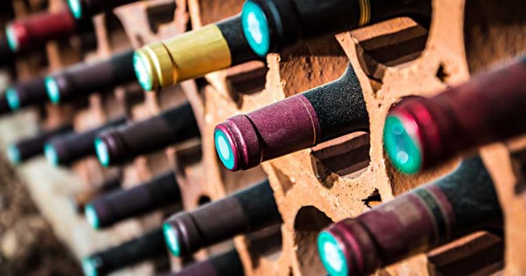 Bottles of wine in a wine cellar