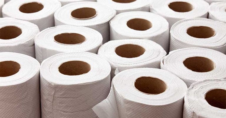 Rolls of paper towels.